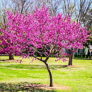 May include: A white ceramic mug with a black handle and the text "But First, Coffee" in a bold, black font. The mug is set against a neutral background, highlighting its simple design.