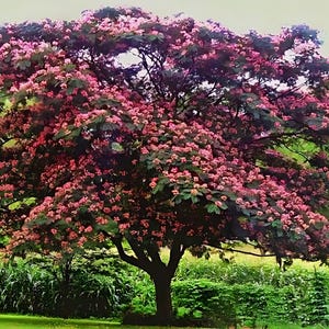 May include: A rustic wooden sign with the text "Welcome to our home" in white lettering. The sign features a distressed finish and a simple, inviting design, perfect for a front porch or entryway.