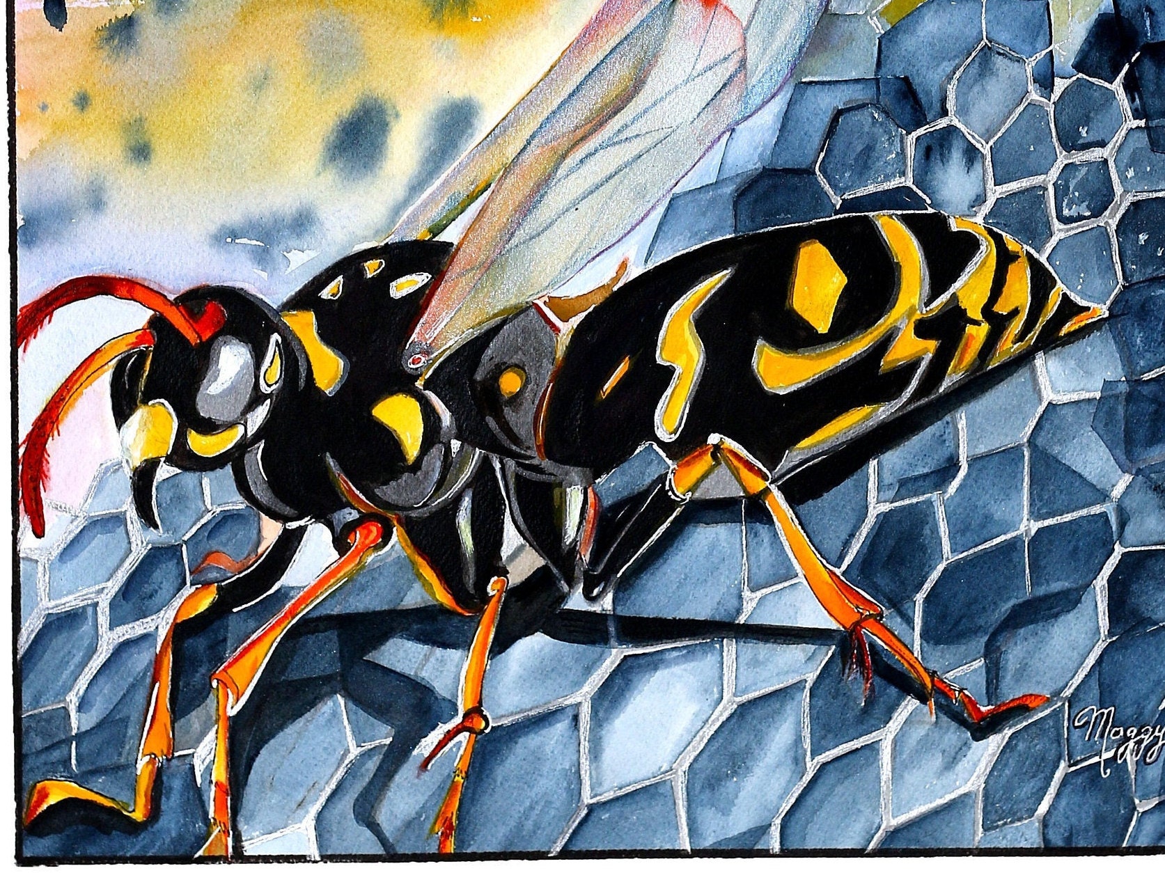 Whale Walrus Wasp Illustration of the Letter W From the Book the