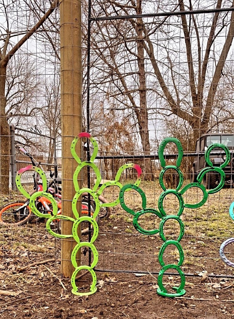 Cactus Horseshoe Cactus Yard Art Etsy