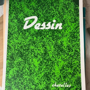 Könnte beinhalten: Ein Vintage-Notizbuch mit einem hellgrünen, gesprenkelten Einband. Das Wort "Dessin" ist in weißer Schrift oben geschrieben. Das Wort "chatelles" ist in weißer Schrift unten geschrieben. Das Notizbuch ist Teil einer Notizbuchsammlung.