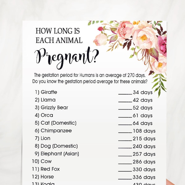 How long is each animal pregnant baby shower game pink floral boho chic country chic Ready to Print No Editable game 43-GB103