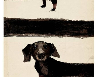 Dachshund Polish Poster by Ryszard Kaja