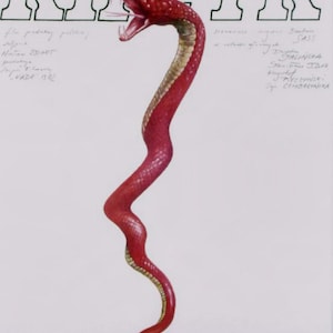 May include: Film poster for "KRZYK" with a red snake illustration. The poster includes Polish text and the title in large letters. The poster is approximately 69 x 99 cm.