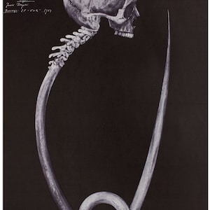 No End Polish Movie Poster: Kieslowski Film, 1985 Art