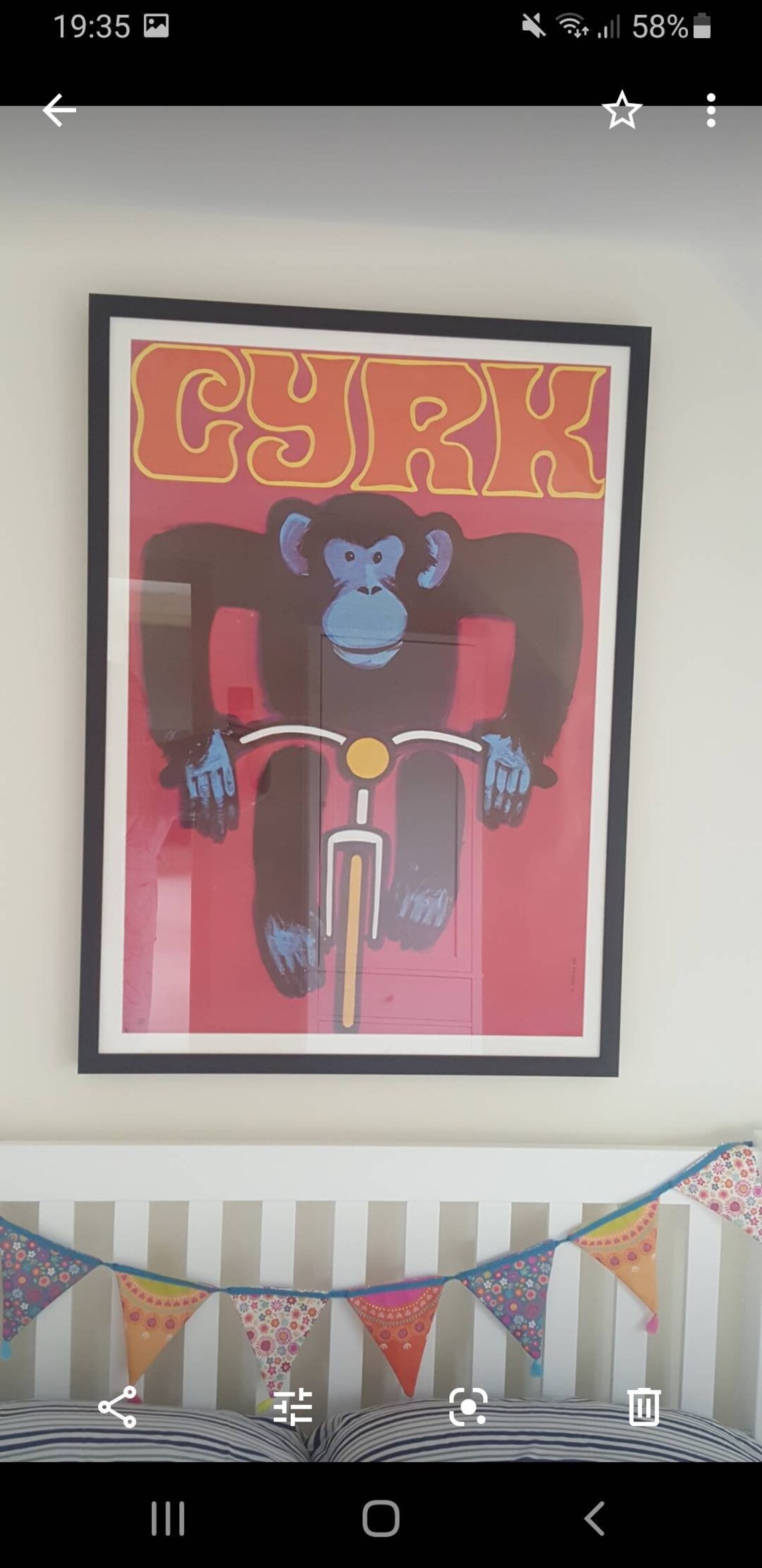 fahrrad aus polen kaufen