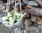 Crochet hanging plant hanger Jute hanging flower pot Rope hanging planter Housewarming gift Macrame plant hanger