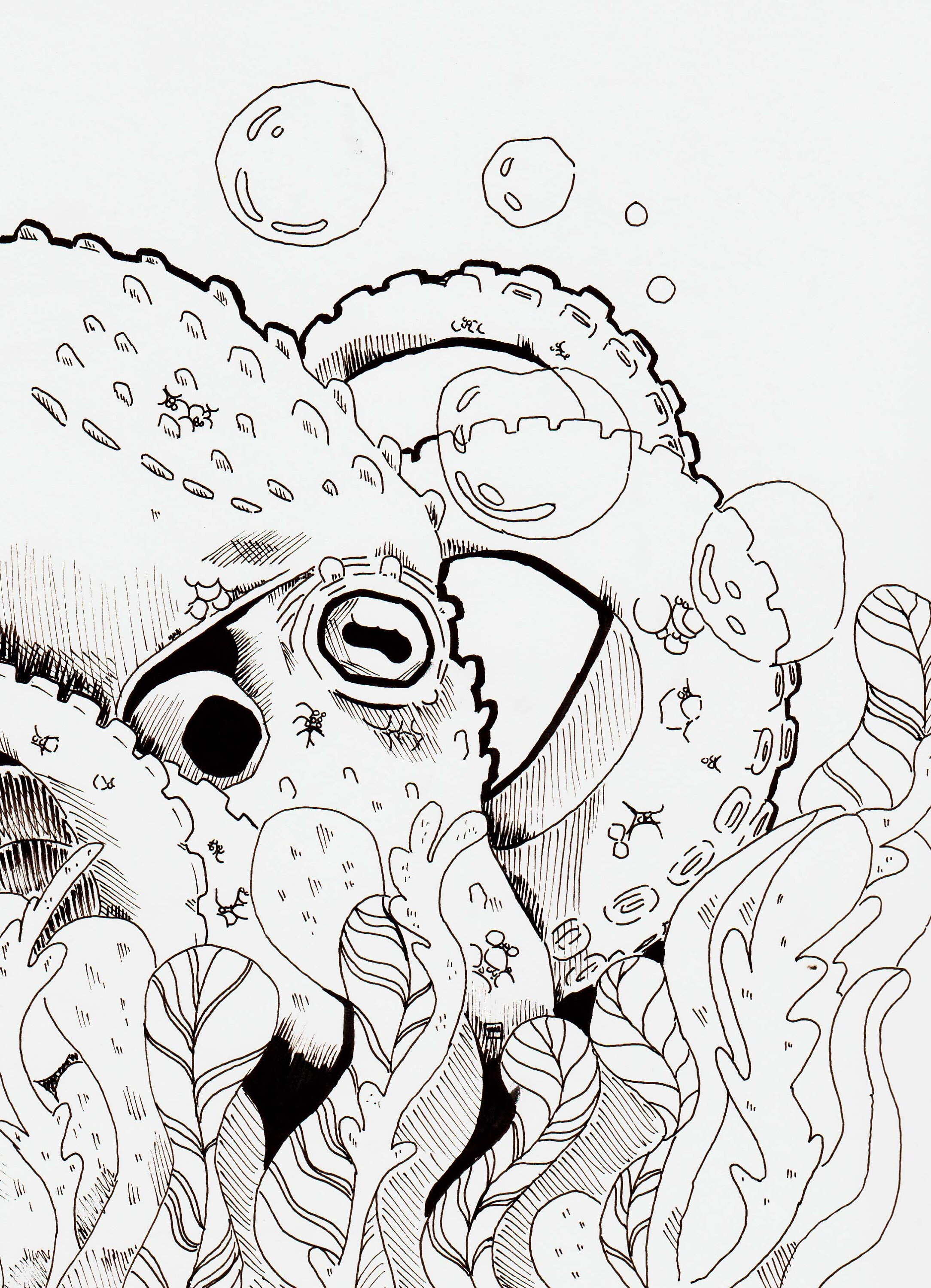 Octopus coloring page printable pdf - Etsy M??xico