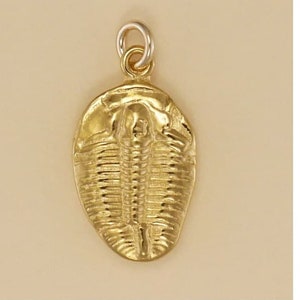 GOLD PLATED or STERLING Silver Trilobite Fossil Charm Pendant Gift for Him Her Mom Mother&#39;s Day Dad Father&#39;s Day Boyfriend Girlfriend Wife