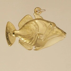 Pode incluir: Um pingente de peixe dourado. O peixe é detalhado com escamas e barbatanas. O pingente tem um laço na parte superior para prender a uma corrente ou pulseira.