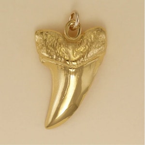 May include: A gold-colored shark tooth pendant with a detailed textured surface. The pendant is attached to a silver-colored loop.