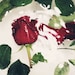 Owner of <a href='https://www.etsy.com/shop/RoseGardenOfThorns?ref=l2-about-shopname&from_page=listing' class='wt-text-link'>RoseGardenOfThorns</a>