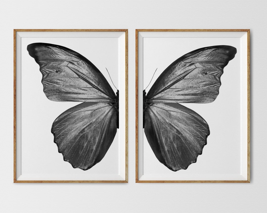 Black Butterfly Wall Art Set of 2 Black and White Butterfly Etsy