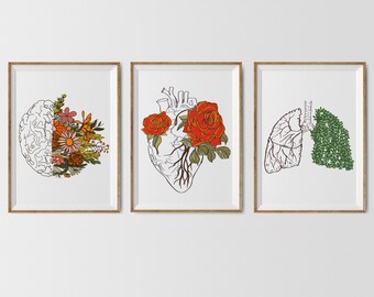 Floral Anatomy Print Set - Etsy