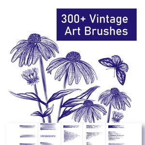 Mais de 300 pincéis vintage para Illustrator, pacote de sombreamento e contorno artístico em AI (download instantâneo)