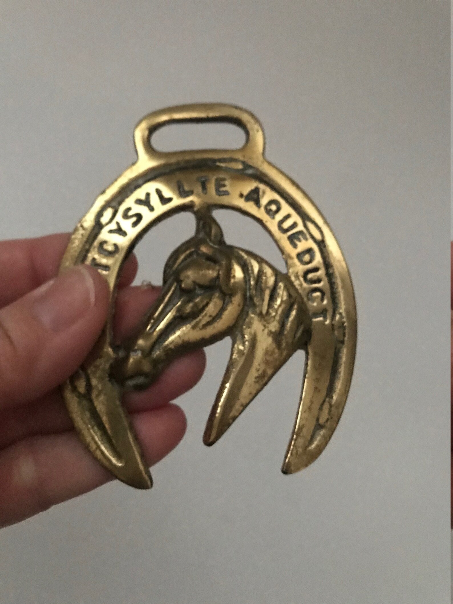 Lot De 7 Médaillons Vintage Et 10 Attaches à Cheval En Laiton Massif