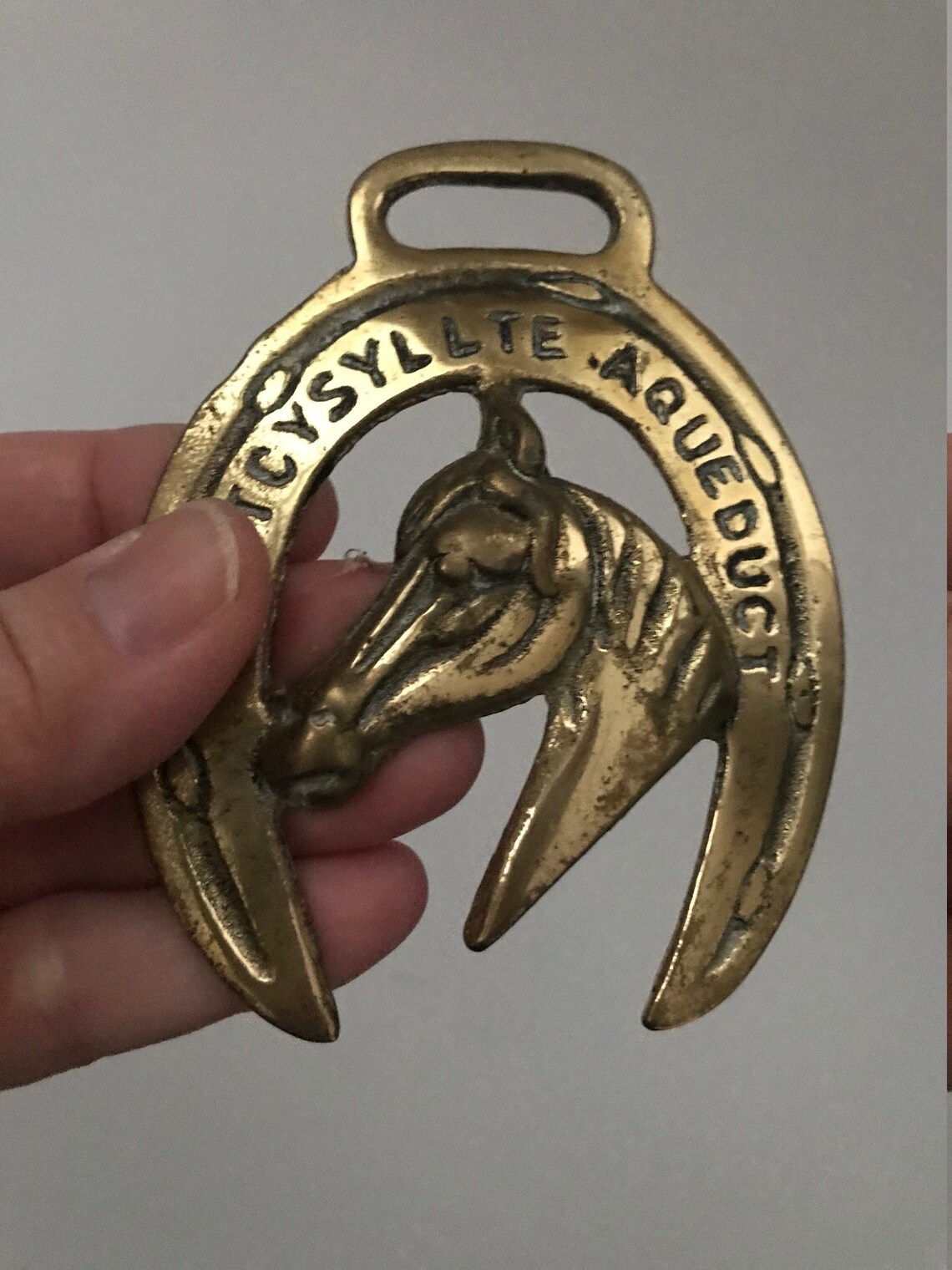 Médaille Cheval En Laiton - Cathédrale Wells - Pièce D'équitation Vintage