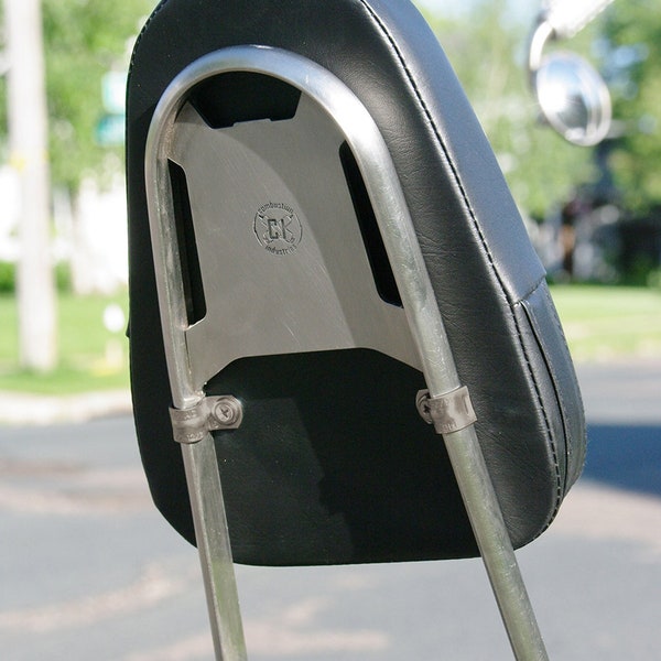 Edward Richie Sissy Bar Etsy