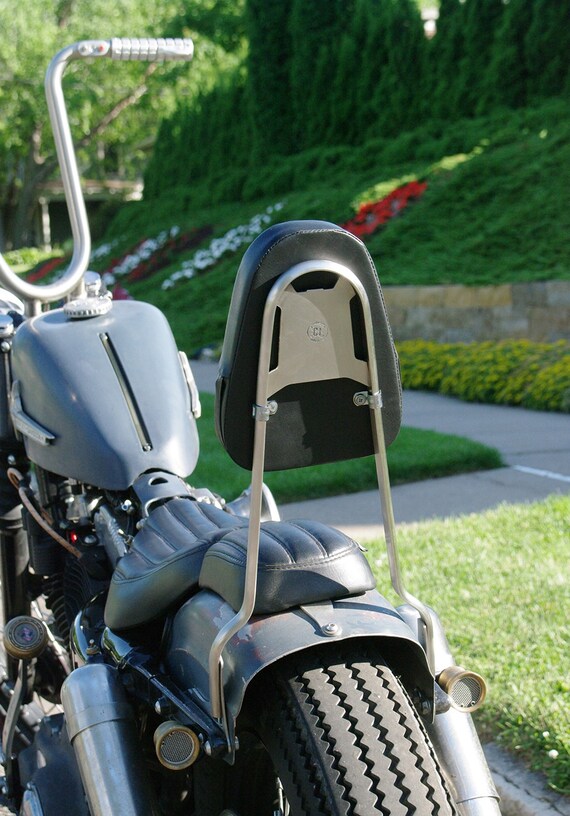 Combustion industries sissy bar deals