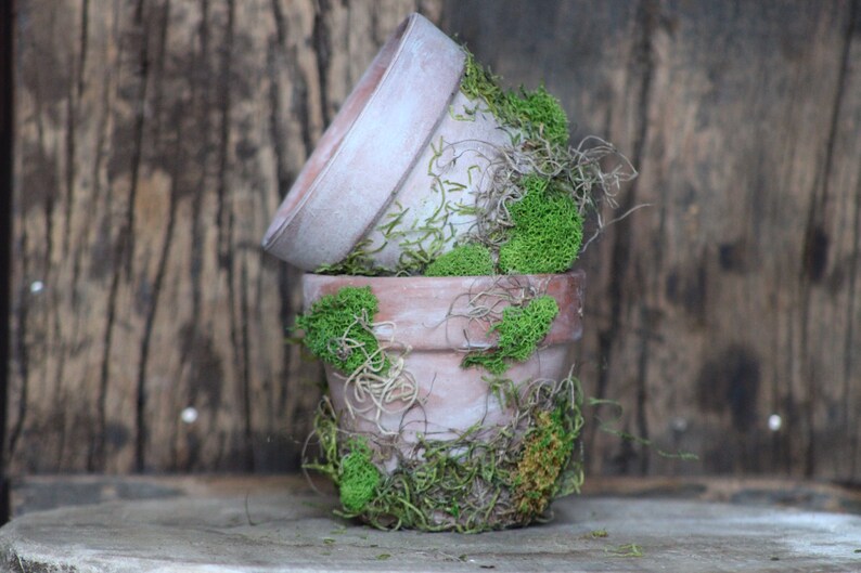 Terracotta Moss Pots Beautiful Plant Pots Home Decor Etsy