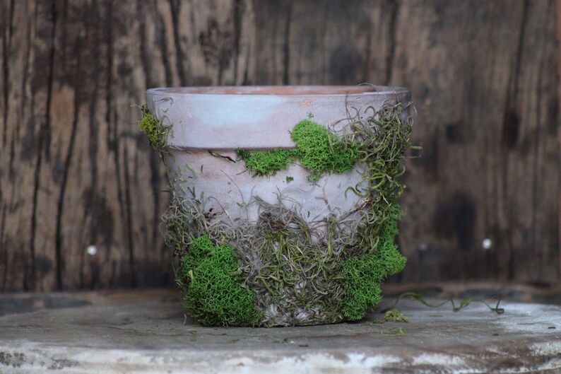 Terracotta Moss Pots Beautiful Plant Pots Home Decor Etsy