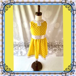Gabby Gabby Costume For Girls, Gabby Gabby Dress, Halloween Costumes For Girls, 1950’s Girls Dress, Polka Dot Dress, Birthday Party Dress