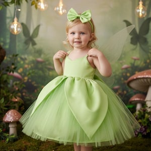 Tinkerbell Infant Dress