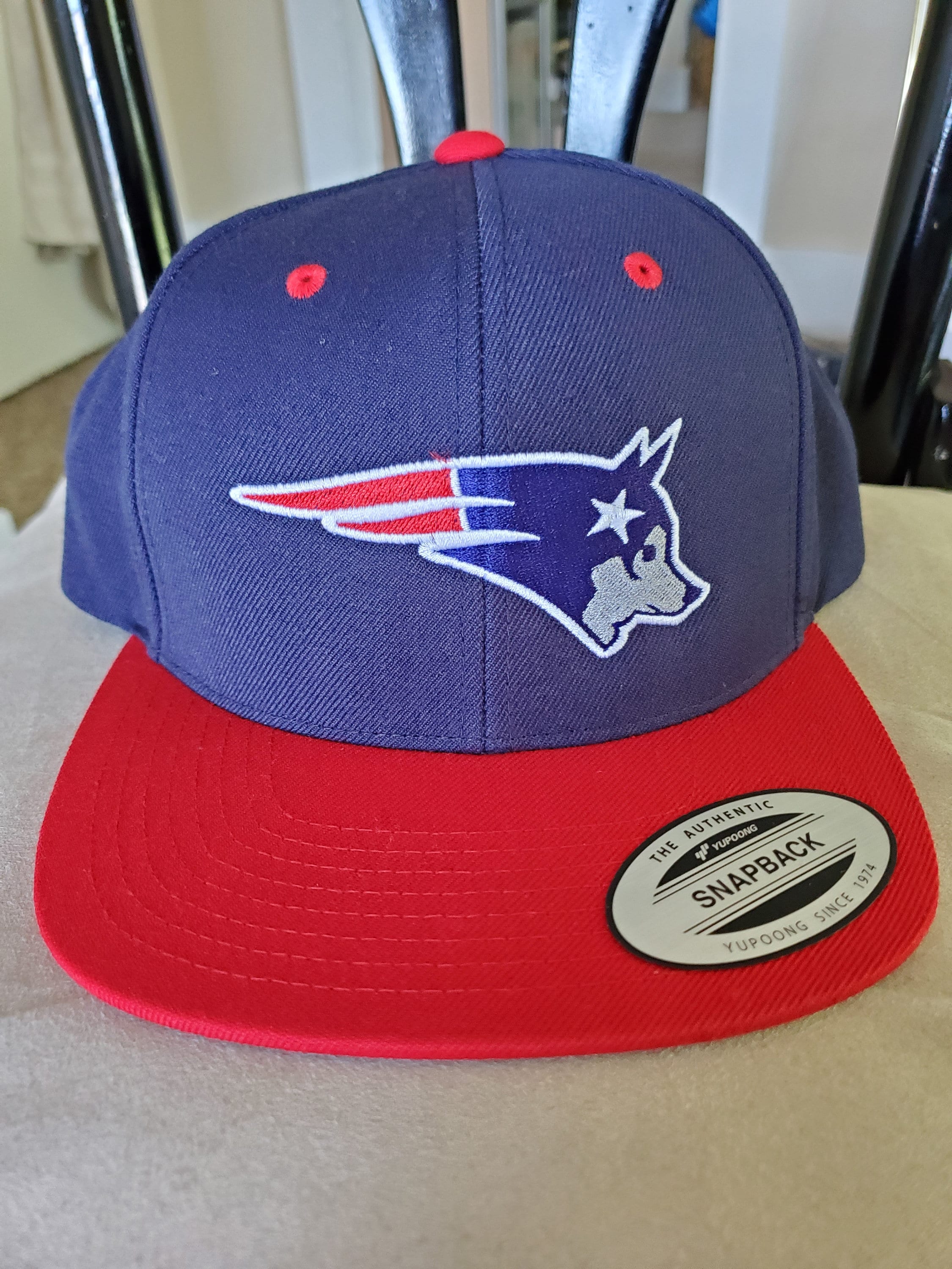 patriots dog hat