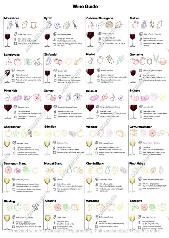 Wine Print Wine Guide Wine and Food Pairing Guide Kitchen Wall