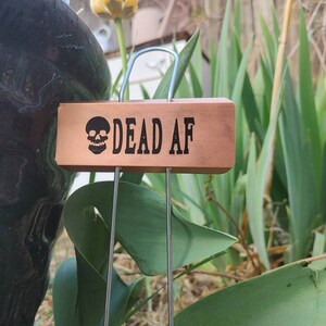 May include: A wooden garden marker with a skull and the text "DEAD AF" on it. The marker is attached to a metal stake.