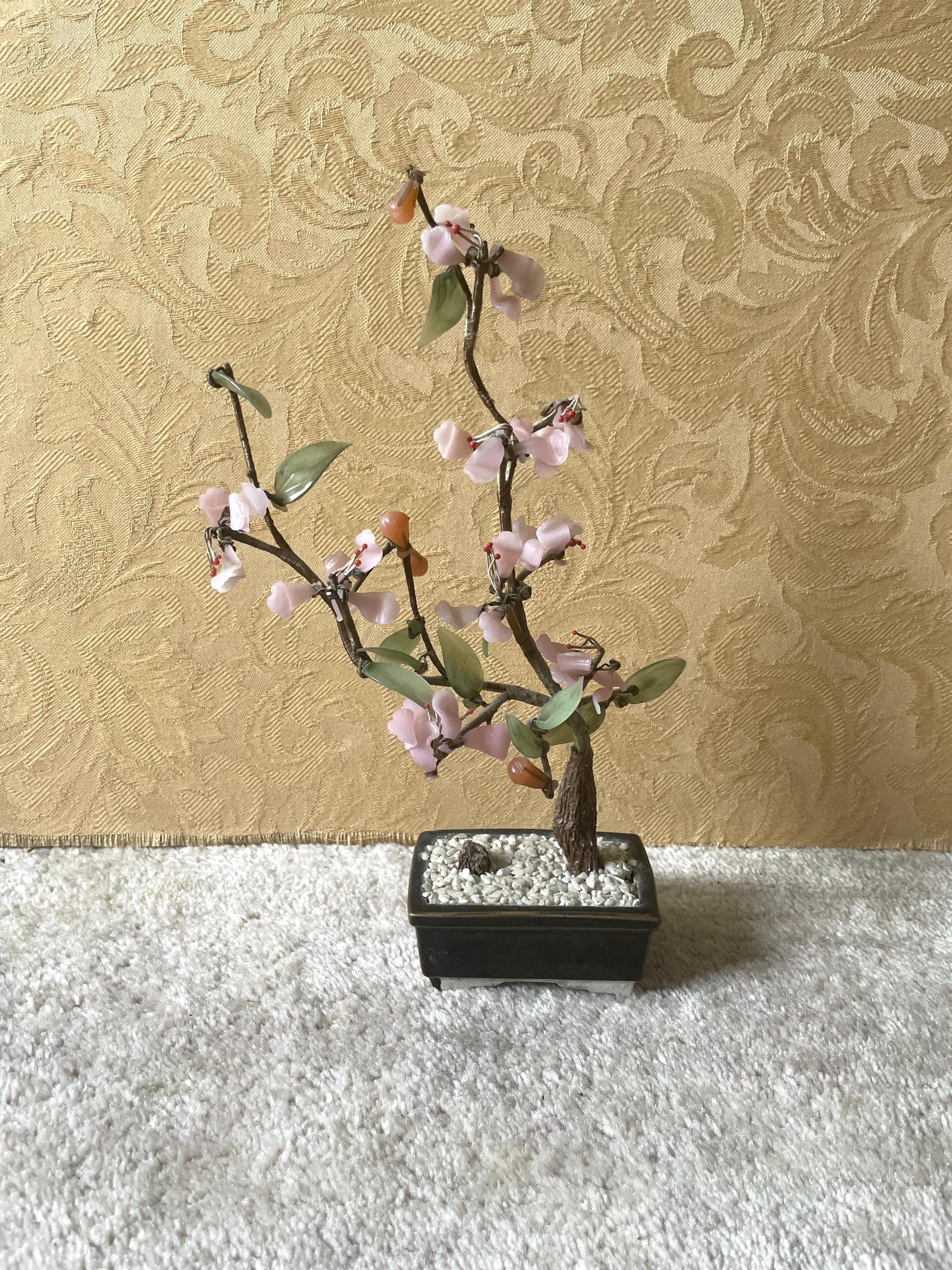 Magnolia bonsai - Etsy sterreich