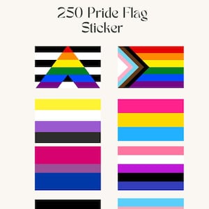 250 Progress Pride-vlagstickers | Trots Queer LGBTQ+ | LGBTQIA+-rechten Vreemde sticker | Transgender Biseksueel Non-binair Aseksueel | vlag stickers