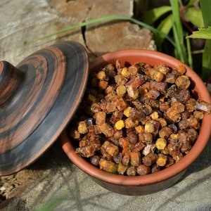 Fresh Organic Perga natural bee 450 g