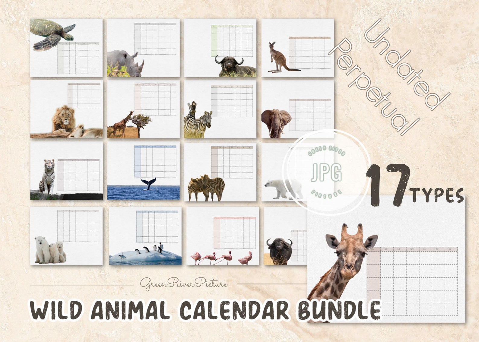 Safari Calendar Animals Calendar Safari Printable Etsy New Zealand
