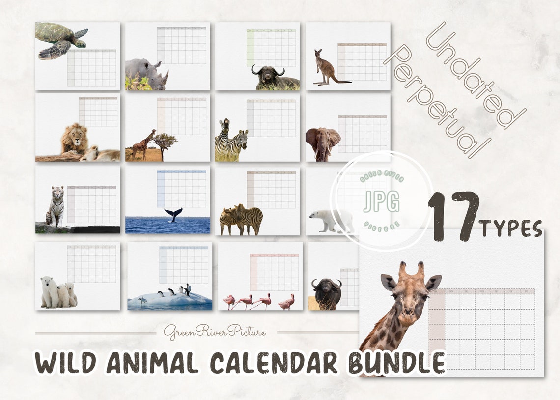 Safari Calendar Animals Calendar Safari Printable - Etsy