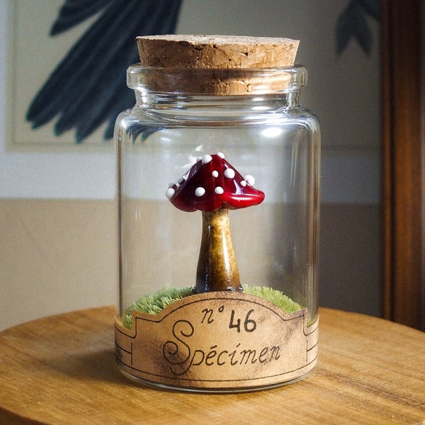 Champignon en verre rouge sur mousse naturelle dans un flacon en verre d'apothicaire pour cabinet de curiosité et collection rare