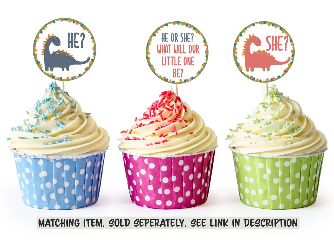 Dinosaur Gender Reveal Invitation Dinosaur Gender Etsy