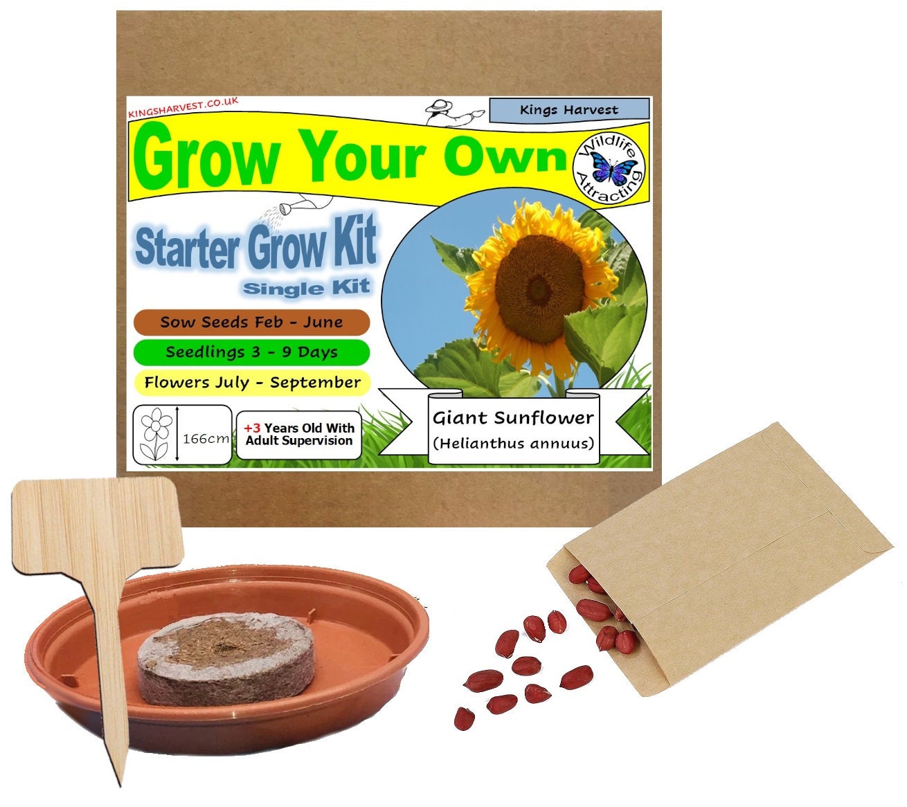 Grow Your Own Giant Sunflower Plant Kit Indoor Windowsill Etsy