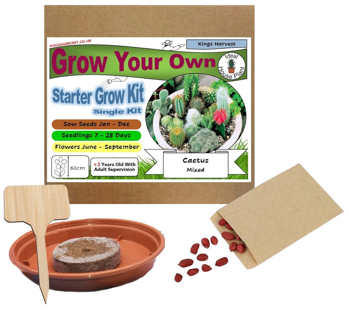 Grow Your Own Cactus Plant Kit Indoor Windowsill Gardening Etsy