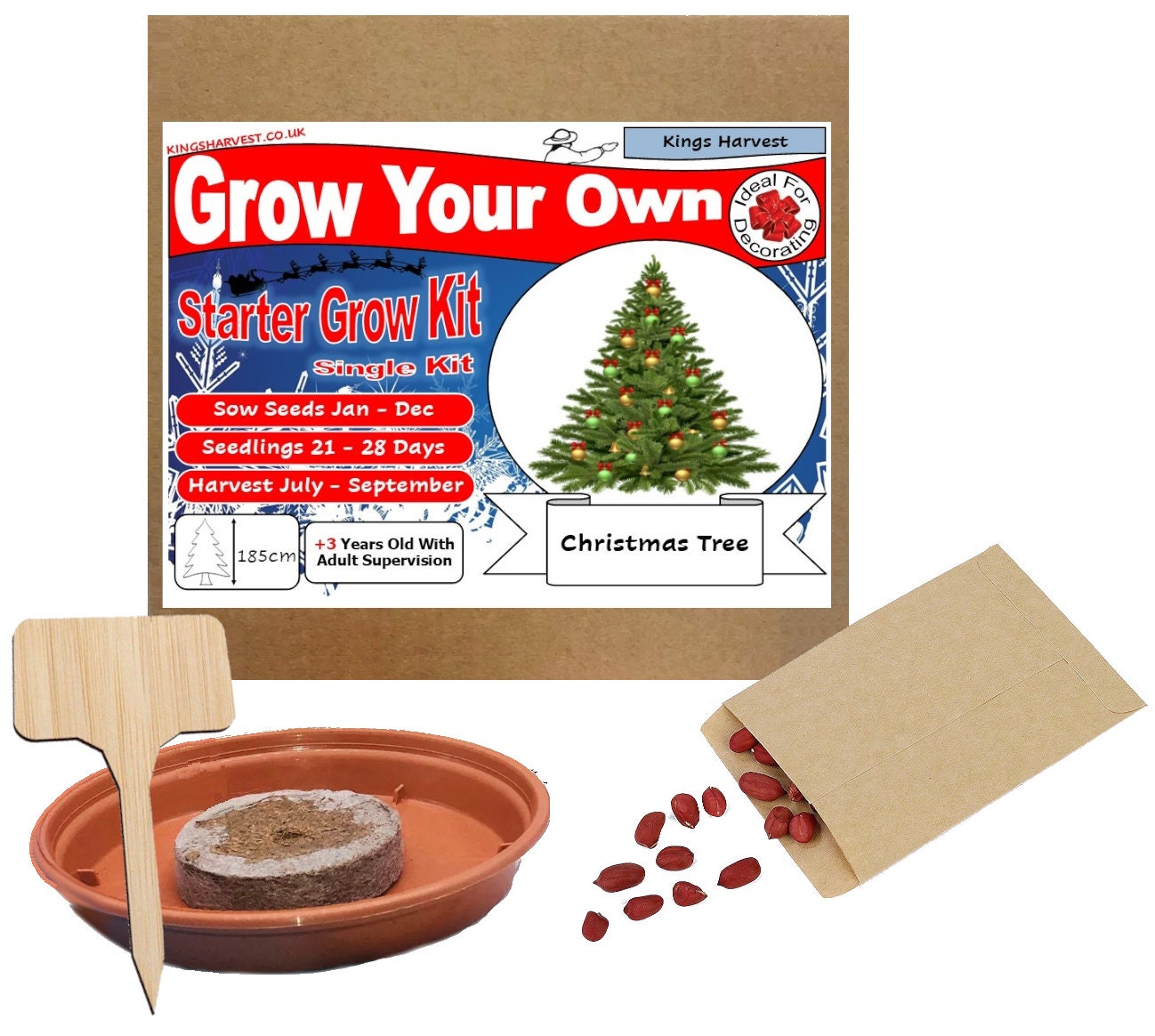 Grow Your Own Christmas Tree Plant Kit Indoor Windowsill Etsy