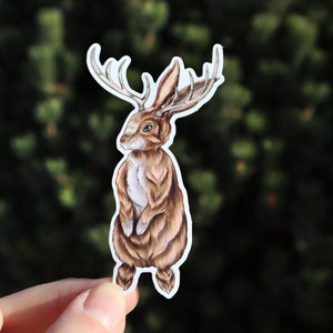 Jackalope Waterproof Vinyl Sticker