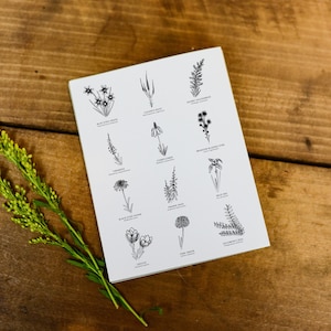 12 Manitoba Wild Prairie Flowers