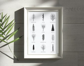12 Manitoba Trees Art Print