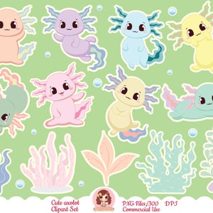 clipart de axolotl, lindo conjunto de axolotl kawaii, dibujos animados, vector, chibi, lindas imágenes prediseñadas, diseño de sublimación, feliz axolotl, PNG, pegatinas imprimibles
