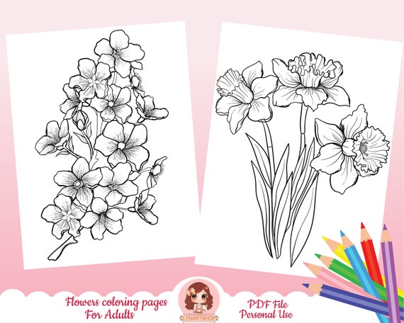 flowers coloring pages botanical coloring pages printable etsy new zealand