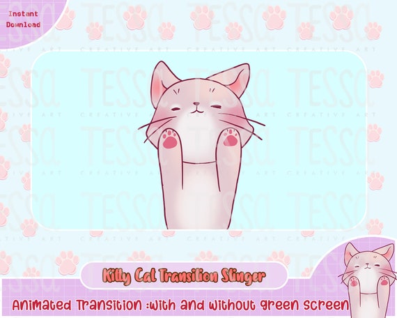 Animated Cute Kitty Cat Twitch Transition Scene Animate | Etsy
