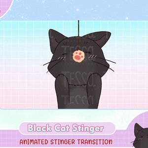 geanimeerde schattige zwarte kat kat twitch overgang scène, animeren stinger, stinger overgang, obs, streamer, twitch stinger, twitch overgang