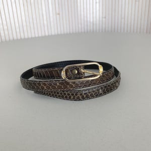 Può includere: Una cintura marrone e dorata con un motivo a pelle di serpente. La cintura ha una fibbia dorata con un piccolo elemento decorativo. La cintura è arrotolata su una superficie bianca.
