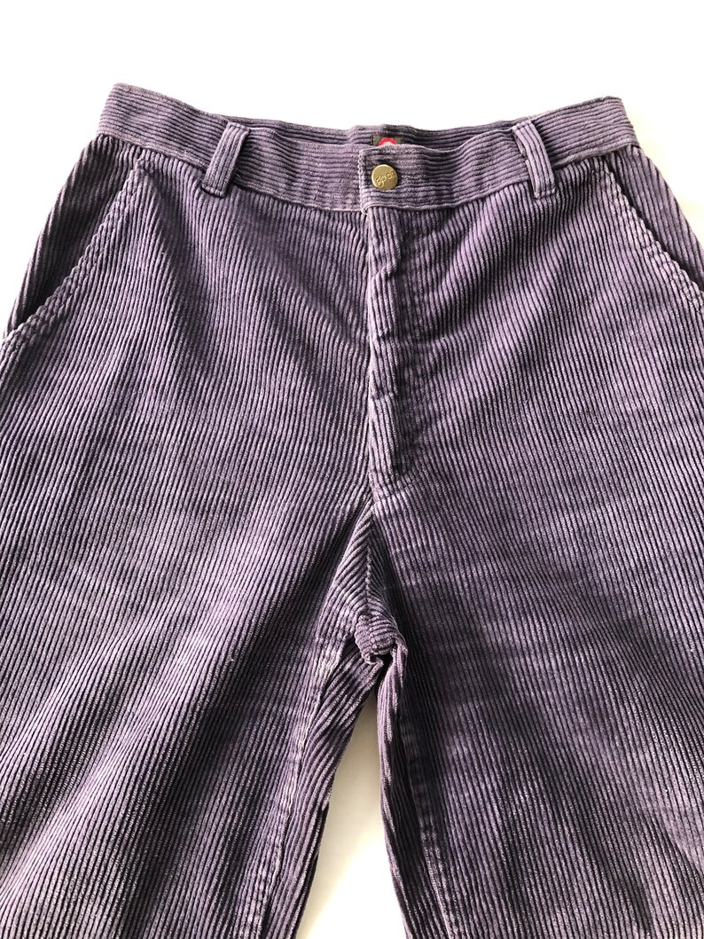 May include: A pair of purple corduroy pants with a button fly and two front pockets.