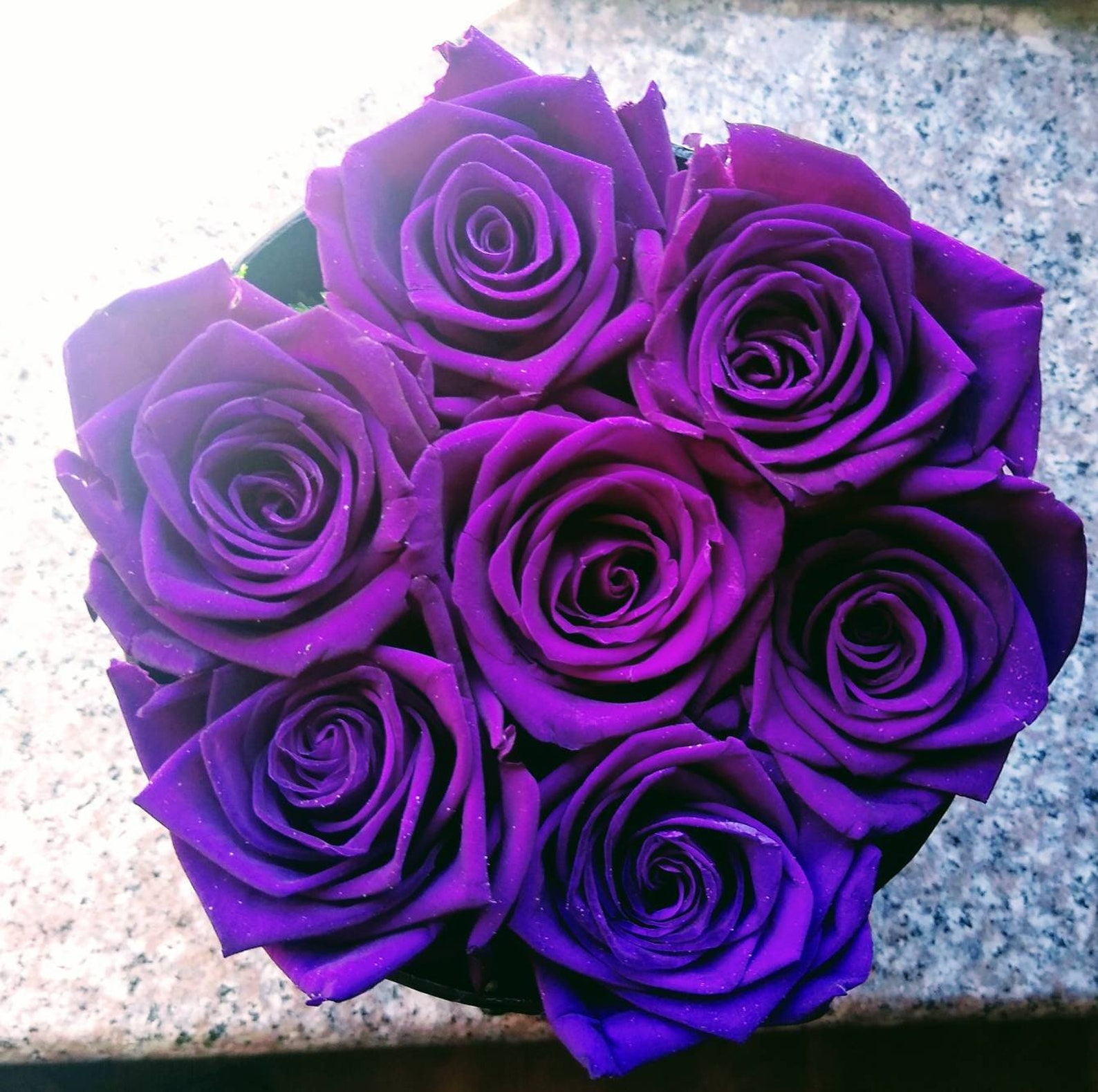 Real roses Roses that last for a year Etsy